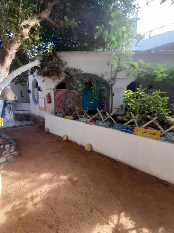 Fighting Kangaroo Camp Ξενοδοχείο Νταχάμπ Εξωτερικό φωτογραφία
